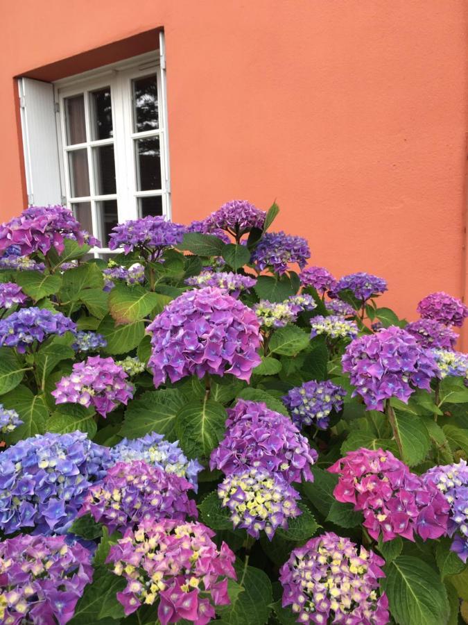 Hotel La Belle Etoile Thouare-sur-Loire ภายนอก รูปภาพ